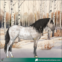 Horse Color:Liver Red Dun Ice 