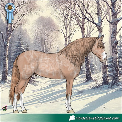 Horse Color:Chestnut Ice Rabicano 