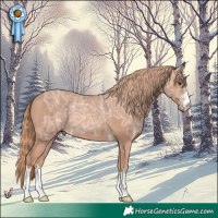 Horse Color:Chestnut Ice Rabicano