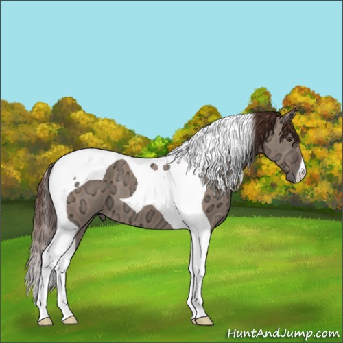 Horse Color:Liver Red Dun Ice Tobiano 