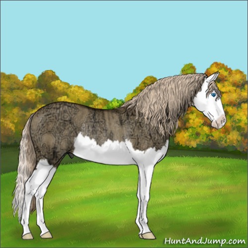 Horse Color:Chocolate Palomino Ice Dun Splash Rabicano 