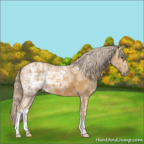 Horse Color:Palomino Ice 