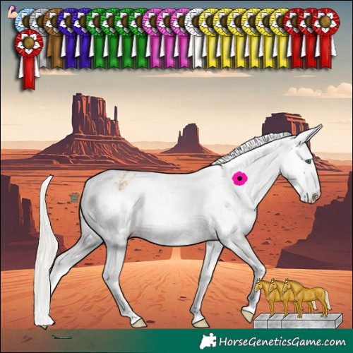 Horse Color:White Spotted Silver Classic Cream Champagne Dun Splash Varnish Rabicano