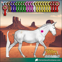 Horse Color:White Spotted Silver Classic Cream Champagne Dun Splash Appaloosa Rabicano 