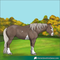 Horse Color:Silver Black 