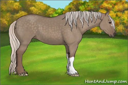Horse Color:Silver Grullo 