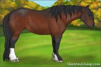 Horse Color:Brown 