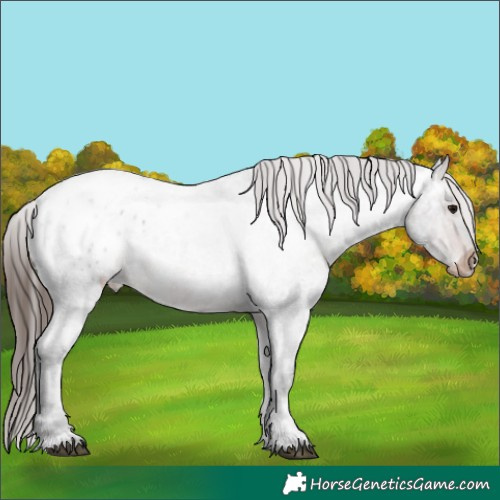 Horse Color:Brown Ice Roan Blanket Rabicano 