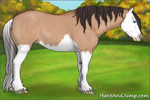 Horse Color:Bay Roan Dun Splash