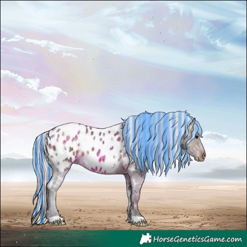 Horse Color:Painted White Spotted Silver Brown Ice Appaloosa Rabicano 