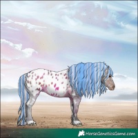 Horse Color:Painted White Spotted Silver Brown Ice Appaloosa Rabicano
