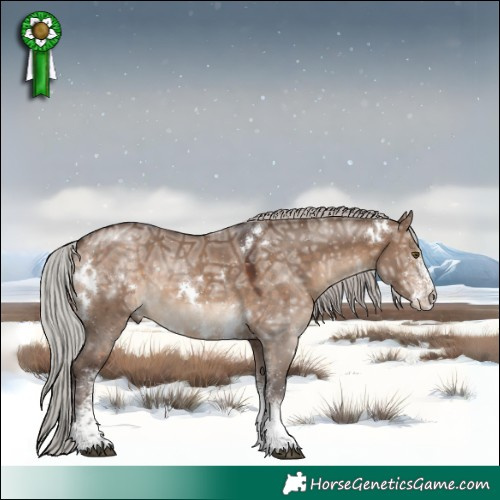 Horse Color:White Spotted Silver Brown Ice Dun 