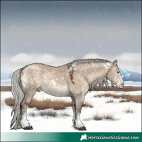 Horse Color:White Spotted Silver Brown Ice Dun 