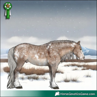 Horse Color:White Spotted Silver Brown Ice Dun 