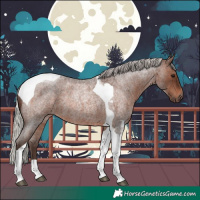 Horse Color:Silver Brown Roan Tobiano 