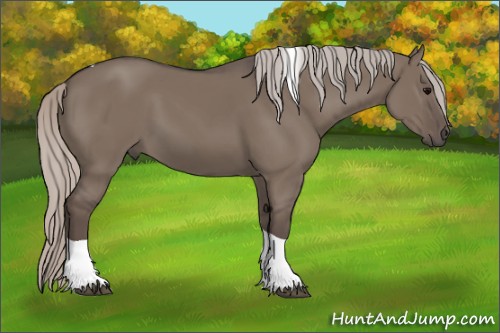 Horse Color:Silver Grullo Tobiano 