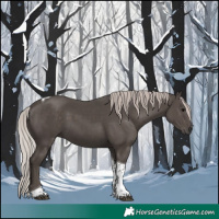 Horse Color:Silver Black Tobiano 