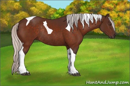 Horse Color:Silver Brown Tobiano Rabicano 