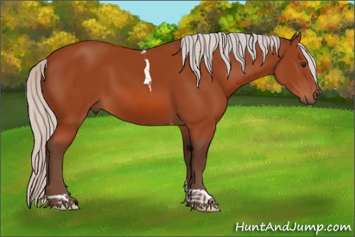 Horse Color:Silver Brown Tobiano 