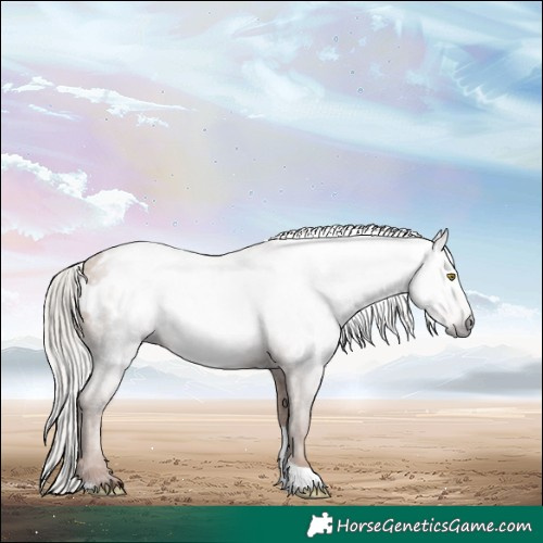 Horse Color:Gray Silver Sable Champagne Tobiano Appaloosa 