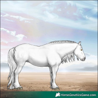 Horse Color:Gray Silver Sable Champagne Tobiano Appaloosa 