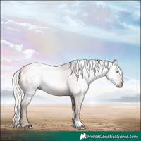 Horse Color:Gray Silver Sable Champagne Tobiano Appaloosa