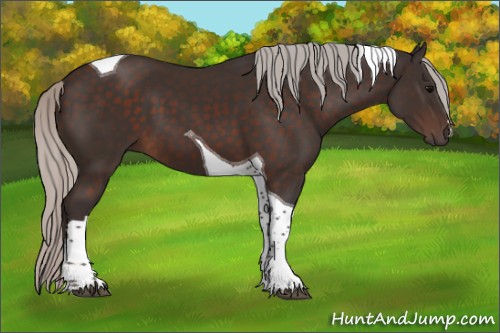 Horse Color:Silver Brown Tobiano 