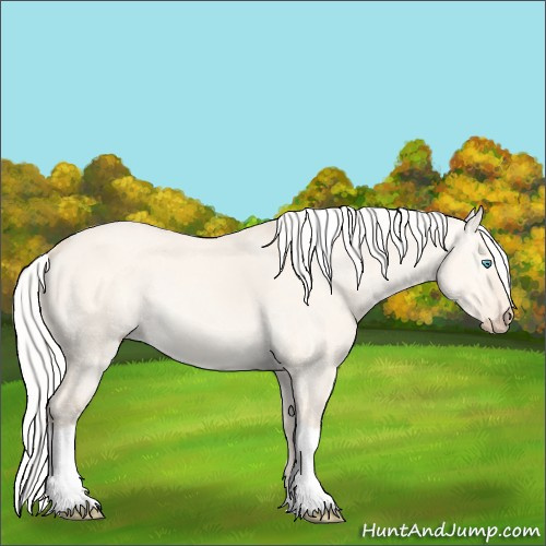 Horse Color:Silver Perlino Dun Tobiano Rabicano 