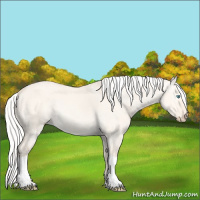 Horse Color:Silver Perlino Dun Tobiano Rabicano 