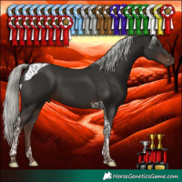 Horse Color:Liver Chestnut Mushroom Tobiano 