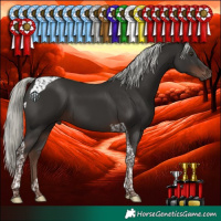 Horse Color:Liver Chestnut Mushroom Tobiano