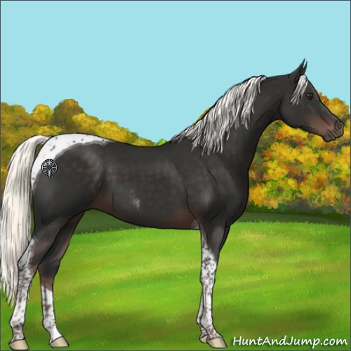 Horse Color:Liver Chestnut Mushroom Tobiano 