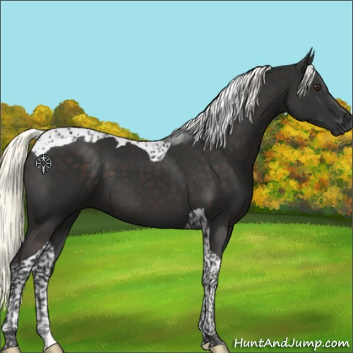 Horse Color:Liver Chestnut Mushroom Tobiano 