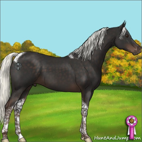 Horse Color:Liver Chestnut Mushroom Tobiano 