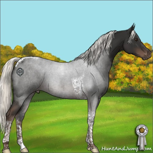 Horse Color:Liver Chestnut Mushroom Tobiano 