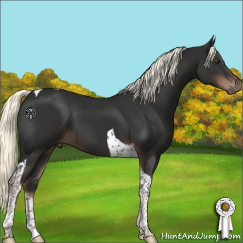 Horse Color:Liver Chestnut Mushroom Tobiano 