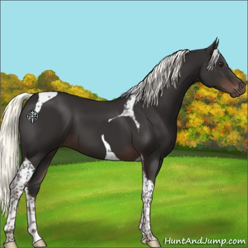 Horse Color:Liver Chestnut Mushroom Tobiano 