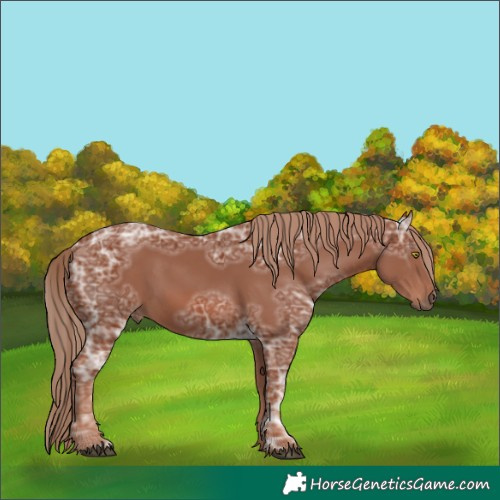 Horse Color:Chestnut Ice
