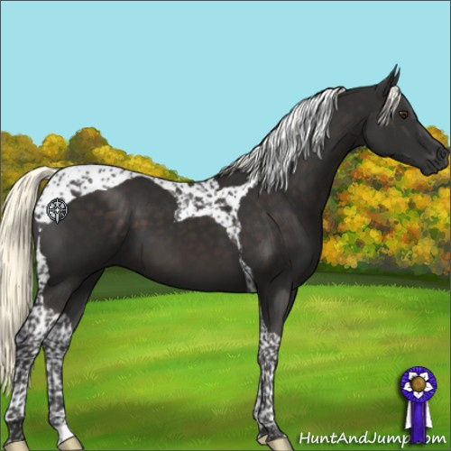 Horse Color:Liver Chestnut Mushroom Tobiano 