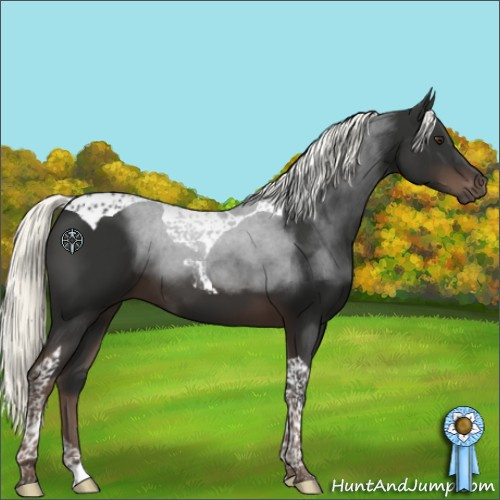 Horse Color:Liver Chestnut Mushroom Tobiano 
