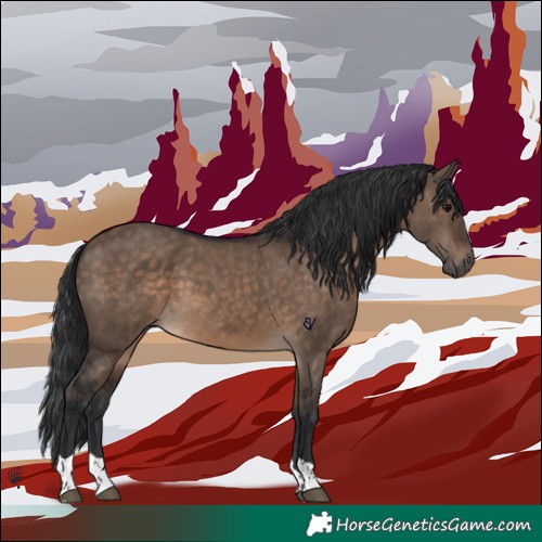 Horse Color:Brown Dun Tobiano Rabicano 