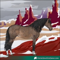 Horse Color:Brown Dun Tobiano Rabicano 