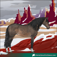 Horse Color:Brown Dun Tobiano Rabicano 