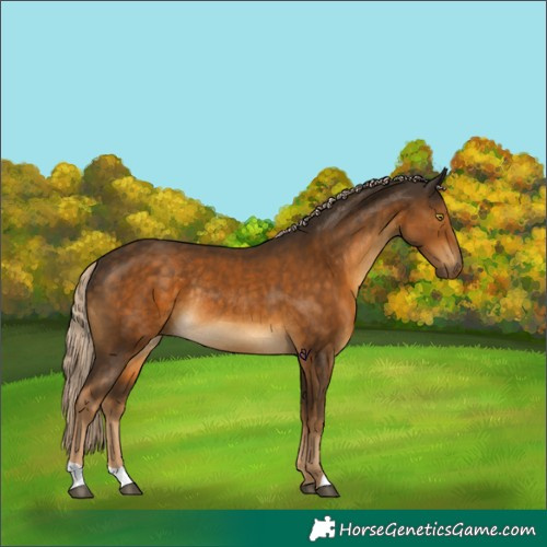 Horse Color:Chocolate Palomino Mushroom Rabicano 