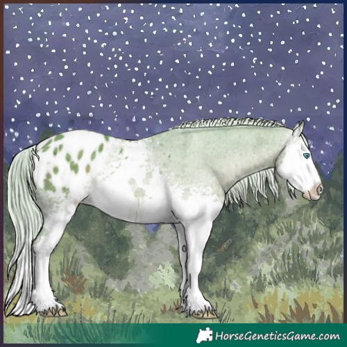 Horse Color:Watercolor White Spotted Silver Brown Ice Splash Appaloosa Rabicano 