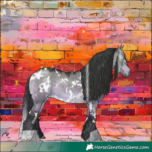 Horse Color:White Spotted Brown Chinchilla Dun 