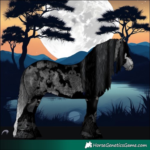 Horse Color:Void White Spotted Brown Chinchilla Roan Dun Splash 