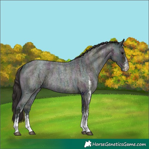 Horse Color:White Spotted Midnight Brown Ice Roan Onyx 