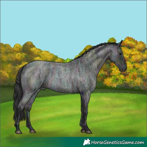 Horse Color:Midnight Brown Ice Roan 