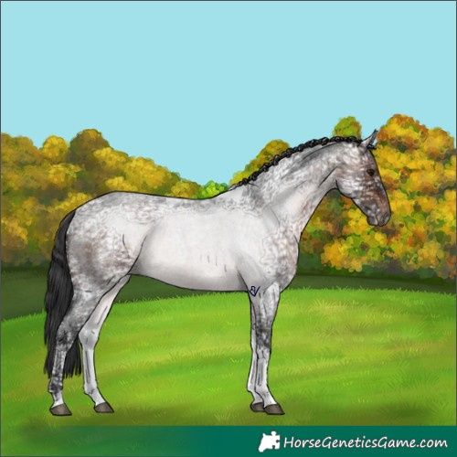 Horse Color:Brown Ice Roan Tobiano Rabicano 